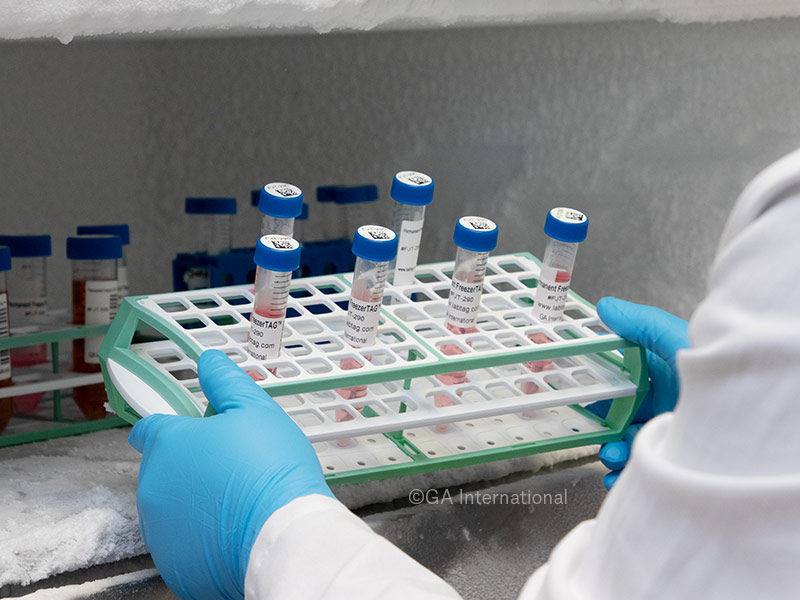 Deep–Freeze Labels for 15ml Conical–Bottom Centrifuge Tubes image