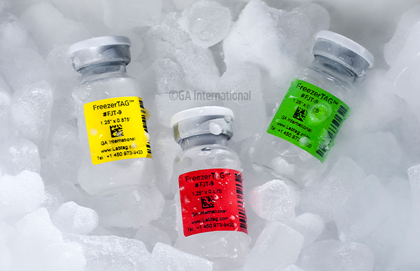 FJT-9-Deep-Freeze-Main-Image