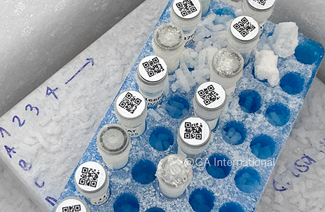 Scienziato che utilizza attrezzature di laboratorio